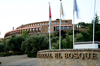 Entrada-principal-2-hotel-cigarral-el-bosque