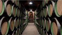 Barricas-1-bodegas-marques-riscal