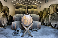 Bodega-brandy-1-bodega-perez-barquero-montilla