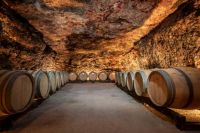 Bodega-historica-colmenar-oreja-madrid-007