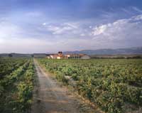 Bodega_valpiedra_vinyedosfachada