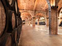 Bodegas_codorniu_celler