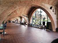 Bodegas_codorniu_interior_museo