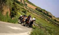 Caballos_rioja2