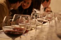 Curso-cata-vinos-3-bodega-jmiquel-jane-penedes