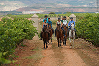 Detalle-ruta-a-caballo-2-hipica-navarrete