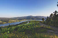 Entorno-bodega-vina-costeira