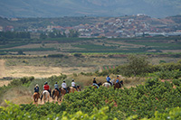 Entorno-ruta-a-caballo-2-hipica-navarrete