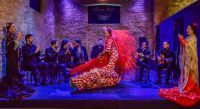 Espectaculo-17-tablao-flamenco-jerez