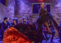 Espectaculo-3-tablao-flamenco-jerez