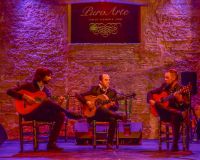 Espectaculo-4-tablao-flamenco-jerez