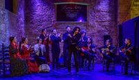 Espectaculo-7-tablao-flamenco-jerez