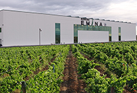 Fachada-1-bodega-emina-rueda-valladolid