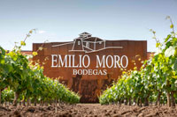 Fachada-vinedo-bodega-emilio-moro