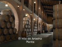 Instalaciones-1-bodega-yllera-rueda