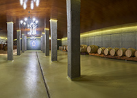 Interior-1-bodega-granbazan