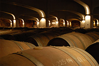 Interior-2-bodega-david-moreno