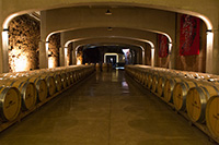 Interior-3-bodega-david-moreno