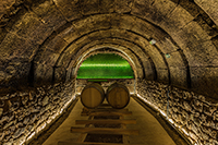 Interior-bodega-4-bodega-tritium