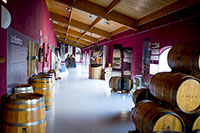 Museo-1-bodega-emina-valladolid