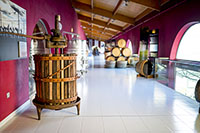 Museo-3-bodega-emina-valladolid