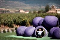 Museo-cultura-vino-6-bodega-vivanco