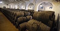 Nave-barricas-1-bodega-perez-barquero-montilla