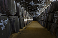 Nave-barricas-3-bodega-perez-barquero-montilla