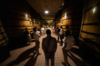 Nave-elaboraciona-bodegas-pradorey-ribera-duero