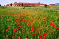 Panoramica-1-bodega-enate-somontano