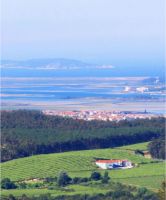 Panoramica-1-bodega-granbazan