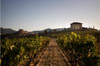 Panoramica-1-bodega-lopez-haro-la-rioja