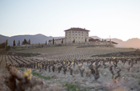 Panoramica-3-bodega-lopez-haro-la-rioja