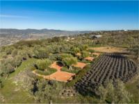 Panoramica-finca-4-almazara-la-organic-ronda-malaga