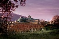 Panoramica-museo-cultura-vino-1-bodega-vivanco