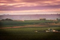 Panoramica-museo-cultura-vino-2-bodega-vivanco