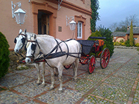 Paseo-coche-caballos-hotel-valdepalacios