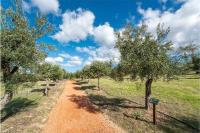 Paseo-olivos-3-almazara-la-organic-ronda-malaga