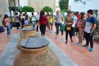 Patio-1-centro-olivar-ubeda