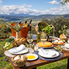 Picnic-1-almazara-la-organic-ronda-malaga-top