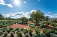 Plaza-carlota-1-almazara-la-organic-ronda-malaga