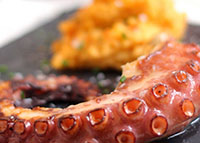 Pulpo-plato-restaurante-hotel-villa-ferias