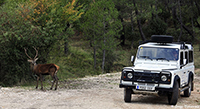 Ruta-4x4-3-turisnat-cazorla