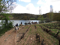 Ruta-a-caballo-2-hipica-navarrete