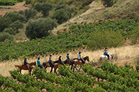 Ruta-a-caballo-3-hipica-navarrete