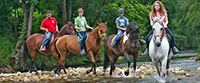 Ruta-caballo-2-el-dorado-asturias