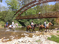 Ruta-caballo-3-el-dorado-asturias