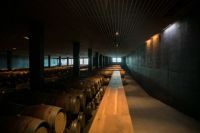 Sala-barricas-1-bodega-laus-somontano