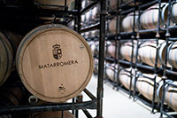 Sala-barricas-1-bodega-matarromera-valladolid