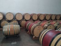 Sala-barricas-1-visita_bodegas_godelia